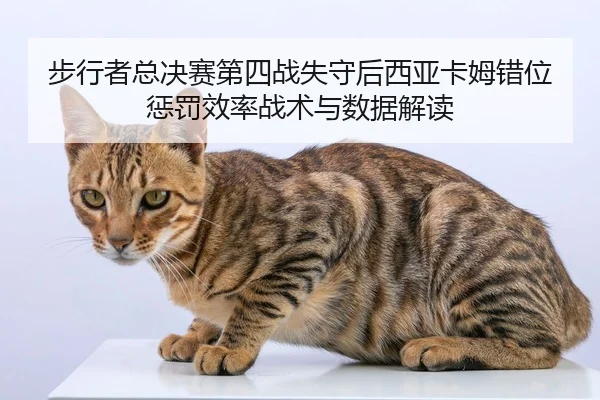 bu-xing-zhe-zong-jue-sai-di-si-zhan-shi-shou-hou-xi-ya-ka-mu-cuo-wei-cheng-fa-xiao-lv-zhan-shu-yu-shu-ju-jie-du-2-230.jpg
