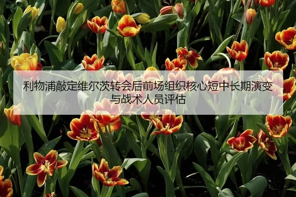 利物浦敲定维尔茨转会后前场组织核心短中长期演变与战术人员评估