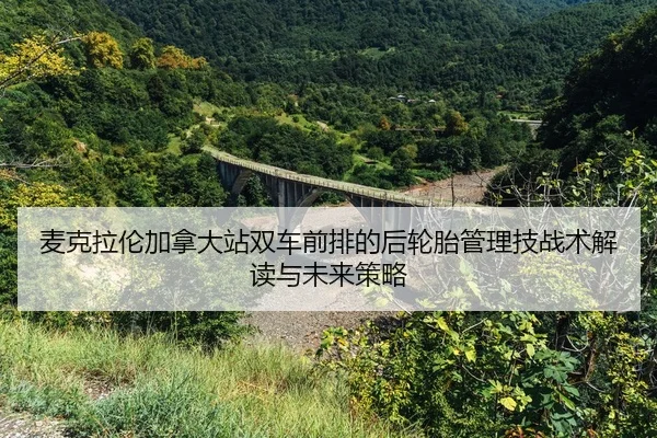 mai-ke-la-lun-jia-na-da-zhan-shuang-che-qian-pai-de-hou-lun-tai-guan-li-ji-zhan-shu-jie-du-yu-wei-lai-ce-lve-2-112.jpg